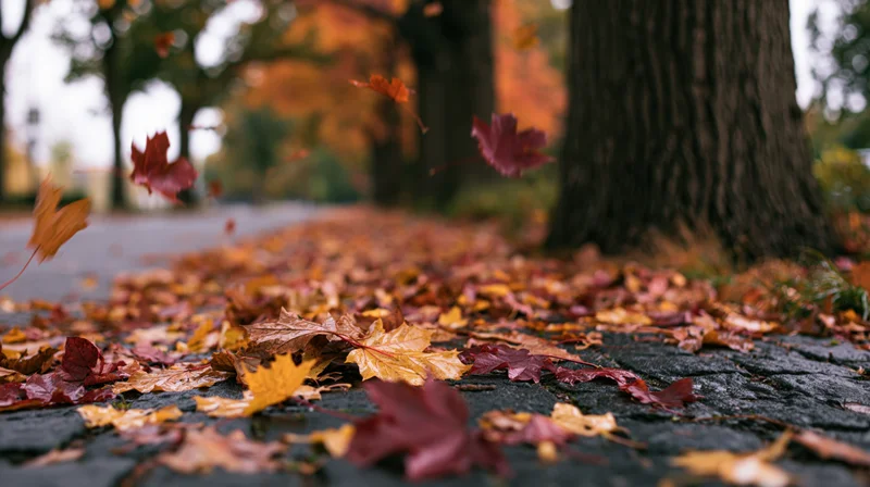 Autumn leaves falling and scattered across wet cobblestone pavement near a tree trunk