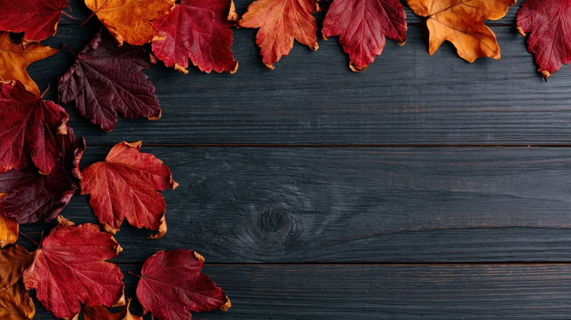 Autumn leaves arranged along the top and left edge of a dark wooden surface, leaving copyspace below
