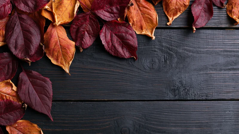 Dried autumn leaves in red orange and amber arranged along the top of a dark wooden surface