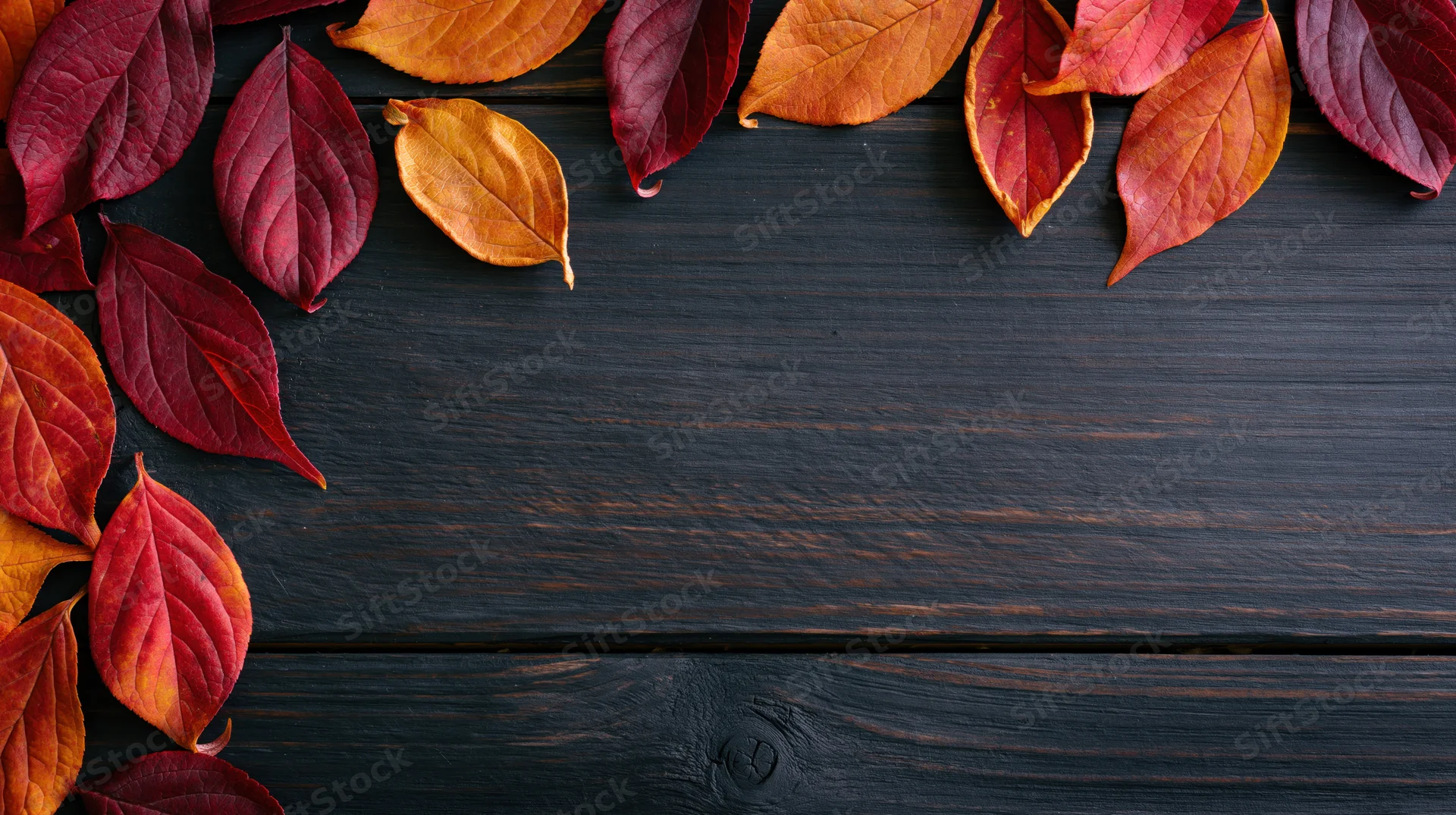 Autumn leaves arranged along the top and left edges of a dark wooden surface, leaving central copyspace
