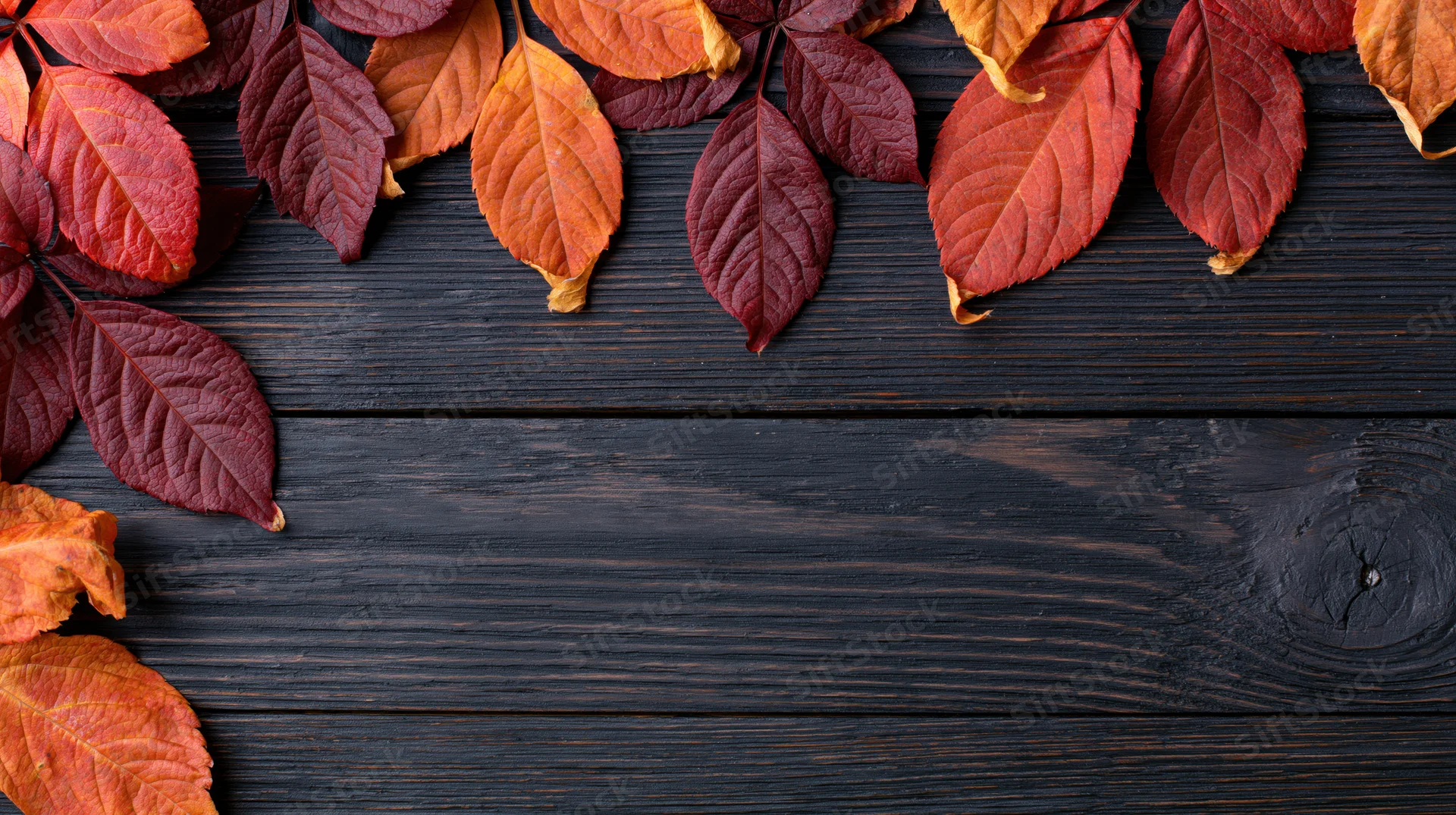 Autumn leaves scattered along the top of a dark wooden surface, leaving copyspace below