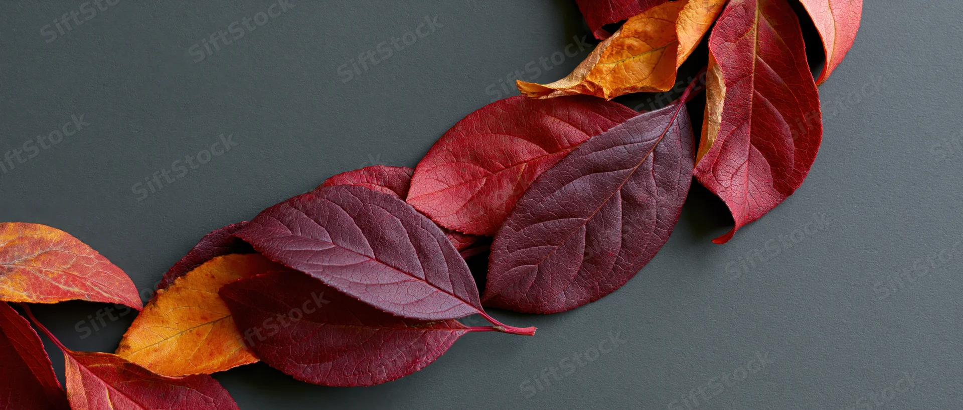 Autumn leaves in red orange and deep crimson arranged in a diagonal line on dark surface with copyspace