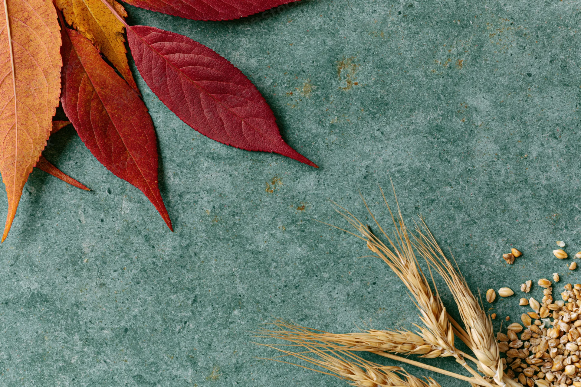 Autumn leaves and wheat stalks arranged on a textured stone surface with copyspace