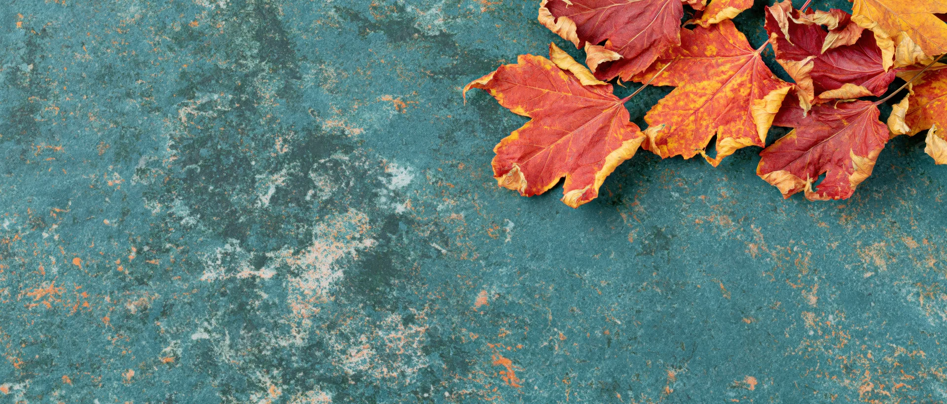 Autumn maple leaves scattered along the right edge of a weathered blue concrete surface