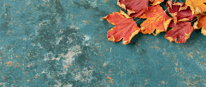Autumn maple leaves scattered along the right edge of a weathered blue concrete surface