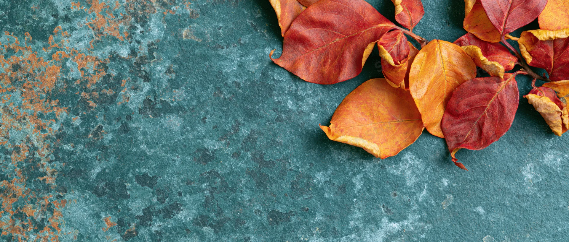 Dried autumn leaves in red orange and yellow arranged on a weathered teal stone surface with copyspace on the left