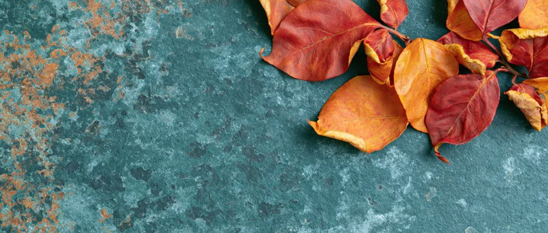 Dried autumn leaves in red orange and yellow arranged on a weathered teal stone surface with copyspace on the left