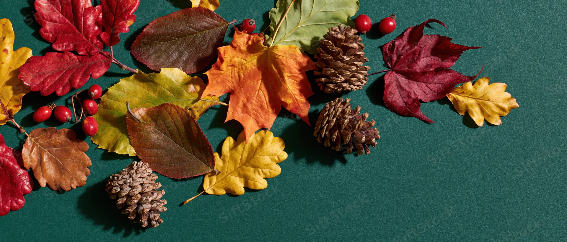 Autumn leaves and pinecones arranged on a dark green surface with copyspace