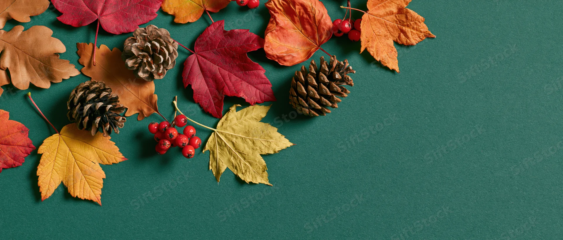 Autumn leaves and pinecones arranged on a green surface with copyspace