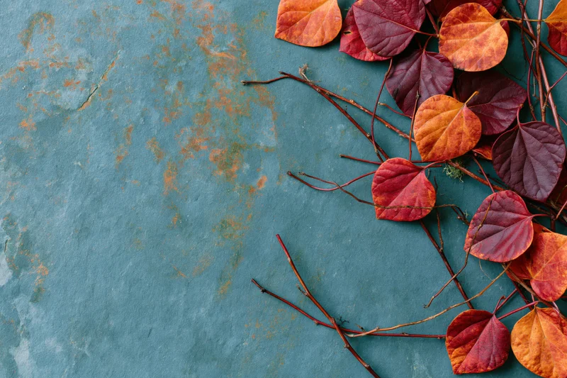 Autumn leaves in shades of red orange and burgundy arranged on a weathered blue surface with copyspace