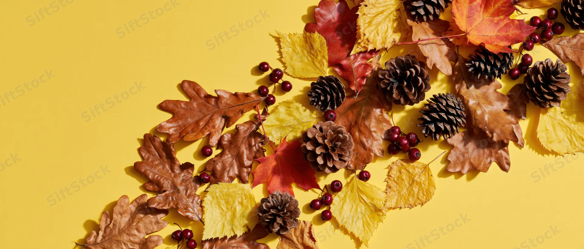 Autumn leaves pinecones and red berries arranged diagonally on yellow background