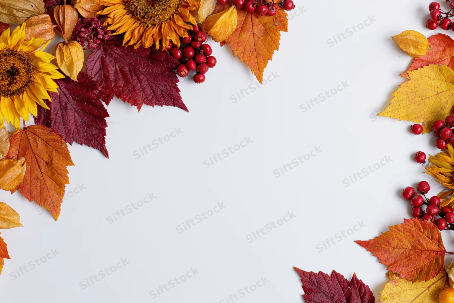 Autumn leaves and sunflowers arranged in a border on white background with copyspace