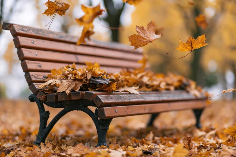 Wooden bench covered in falling autumn leaves in a park setting