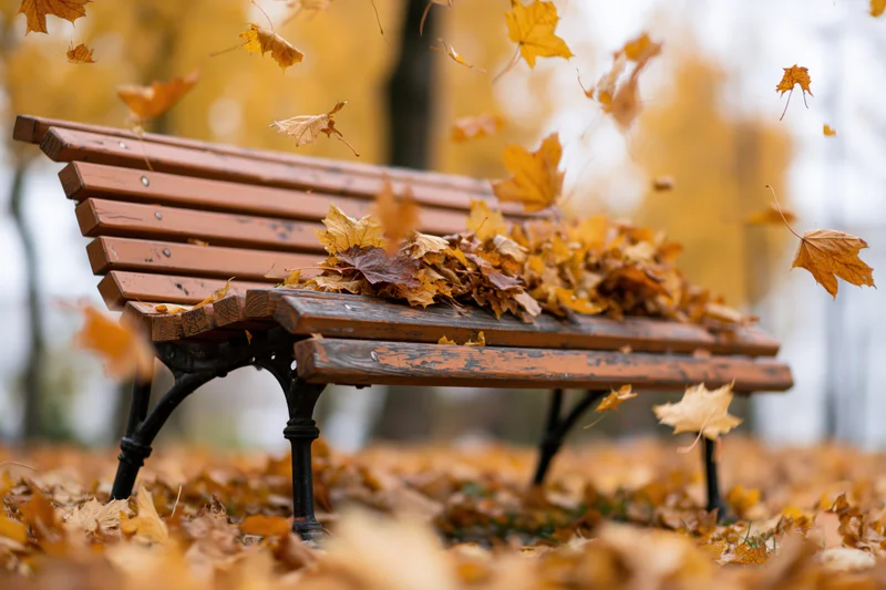 Wooden park bench covered in falling autumn leaves in an outdoor setting