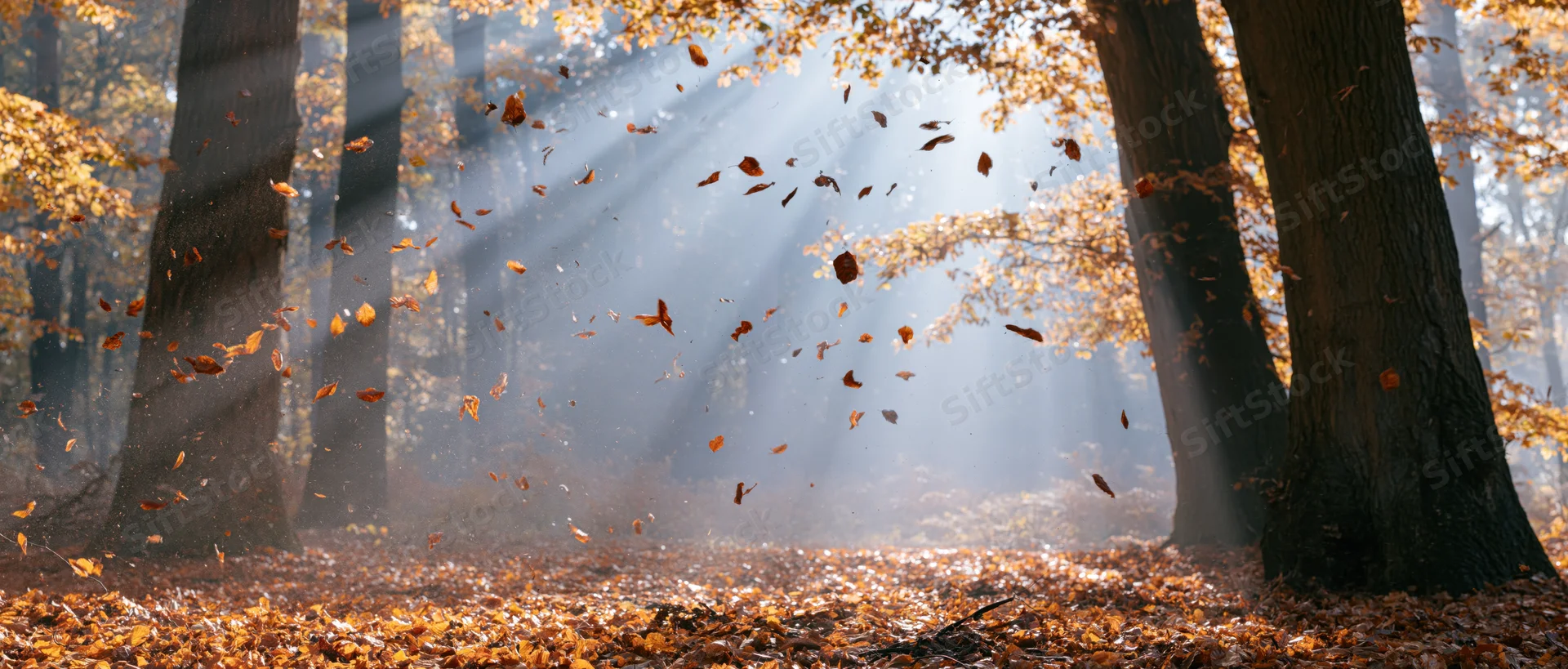 Autumn leaves swirling and falling through a clearing in a forest with sunlight streaming through the trees