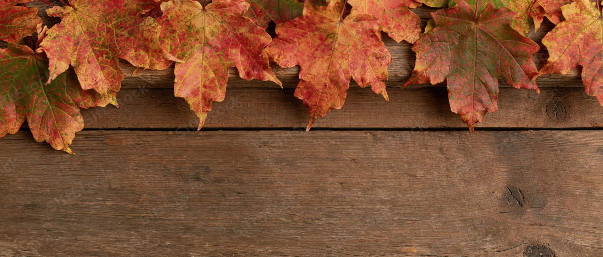 Autumn maple leaves arranged along the top edge of a wooden surface