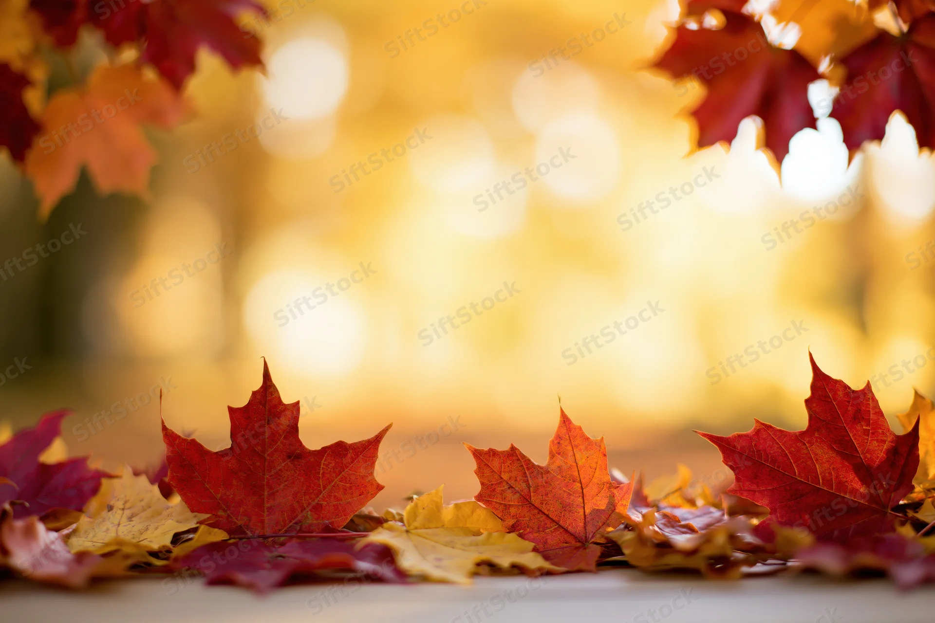 Autumn maple leaves arranged along the frame edges with warm bokeh background
