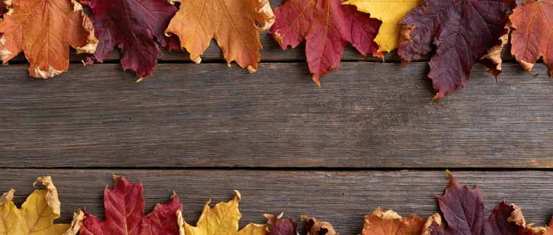 Autumn maple leaves arranged along top and bottom edges of weathered wooden deck, leaving central copyspace