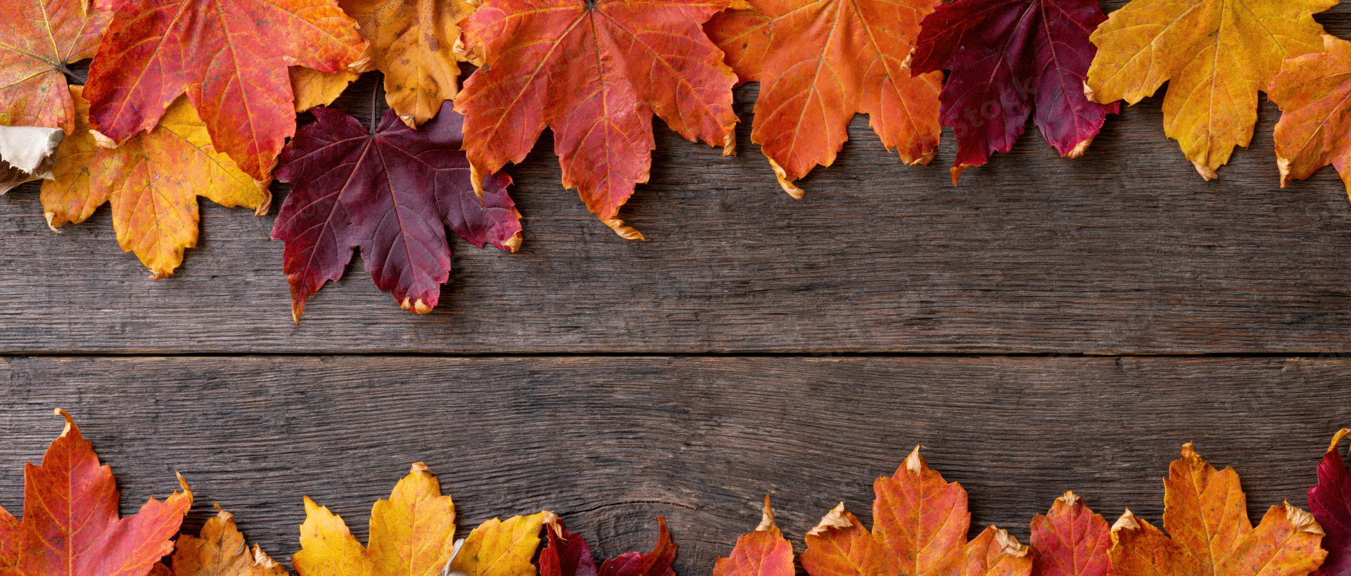 Autumn maple leaves arranged along top and bottom edges of dark wooden surface creating frame with central copyspace
