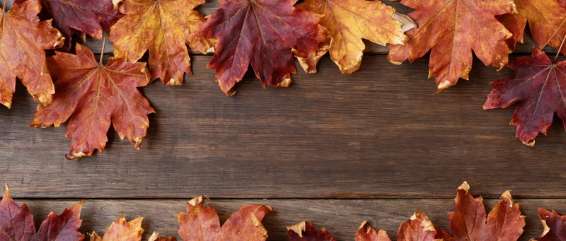Autumn maple leaves arranged in border on wooden surface with copyspace