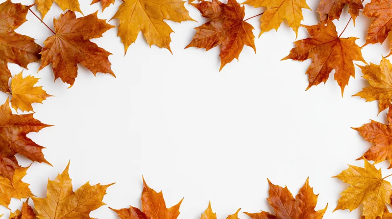 Autumn maple leaves arranged in a border around a white center copyspace