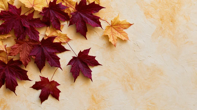 Maple leaves scattered on a textured beige surface with copyspace