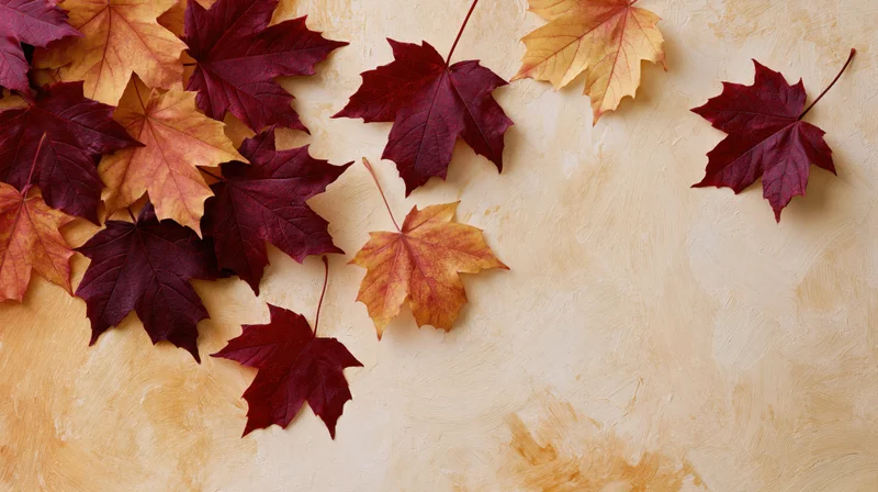 Maple leaves scattered across a textured surface with copyspace on the right