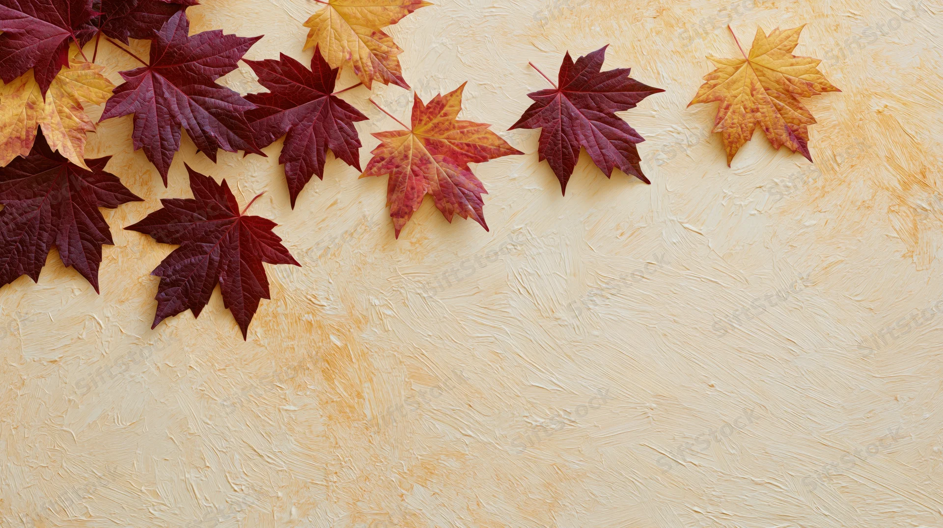 Maple leaves scattered across a textured beige surface with copyspace
