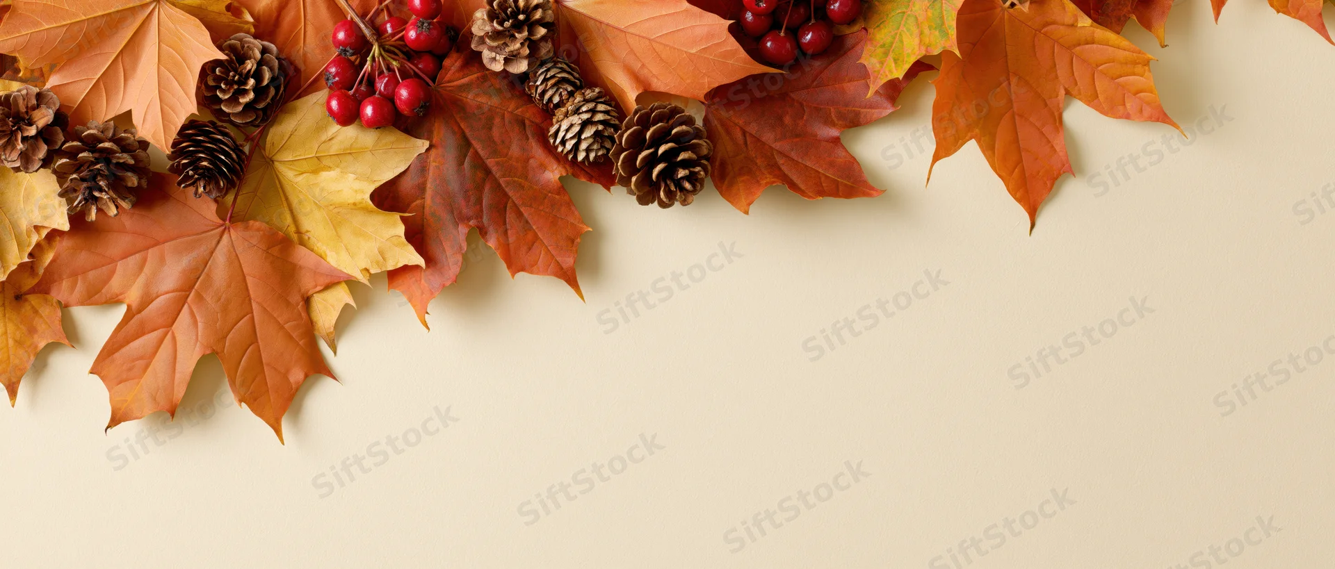 Autumn maple leaves and pine cones arranged along the top edge with copyspace below