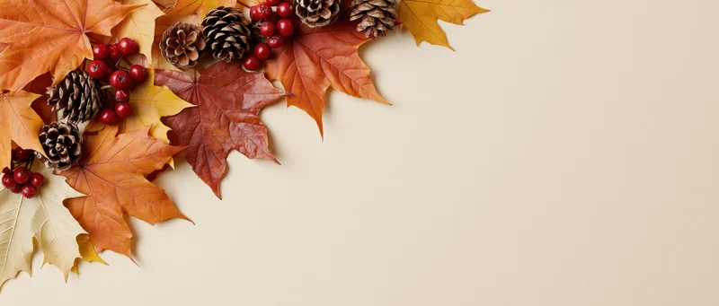 Autumn maple leaves and pine cones with red berries arranged in a flat lay on a neutral background with copyspace