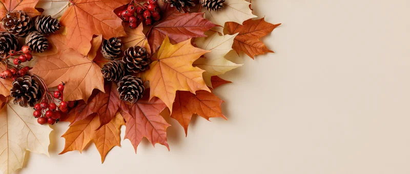 Autumn maple leaves and pine cones arranged with red berries on a flat surface