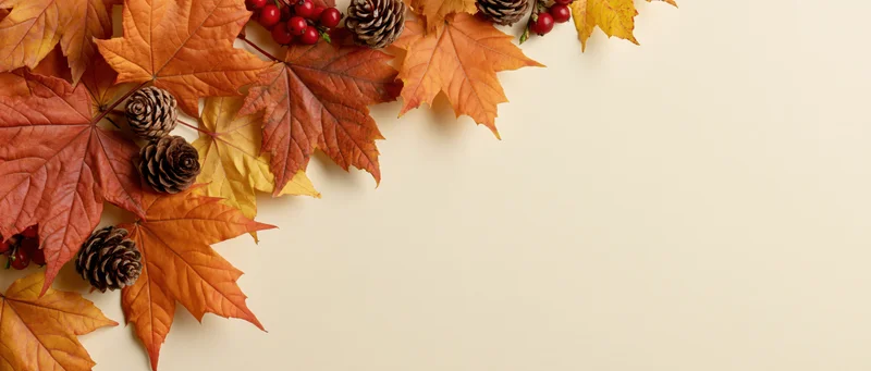 Autumn maple leaves and pine cones arranged in a corner on a cream background with copyspace