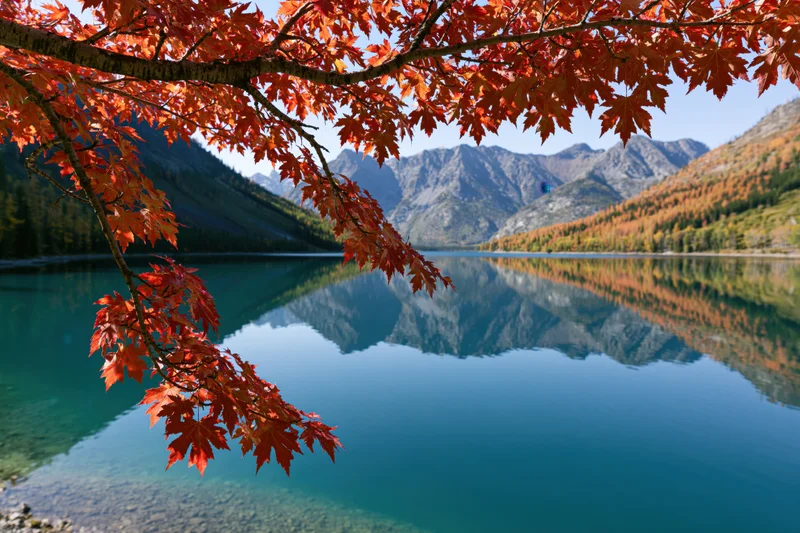 Red maple leaves framing a calm lake reflecting mountains in autumn landscape