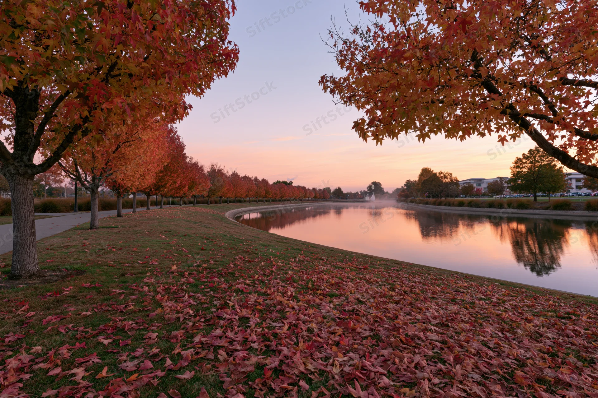 Autumn maple trees lining a curved urban canal path with fallen leaves covering the grass and pavement at sunset
