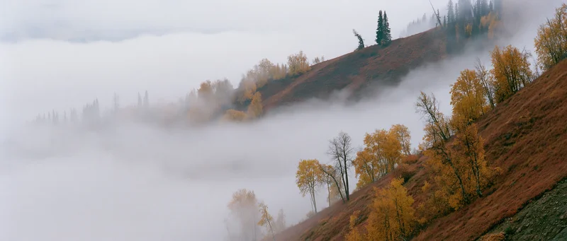 Fog-covered mountain hillside with autumn trees and misty valley below