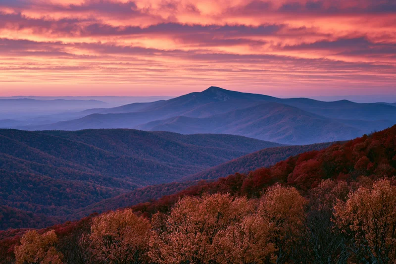 Mountain range covered in autumn foliage under a pink and purple sunset sky