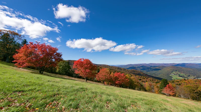 Autumn landscape with colorful trees on a grassy hillside overlooking mountains under a blue sky with scattered clouds