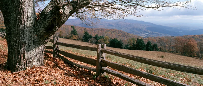 Autumn mountain landscape with a weathered deciduous tree beside a wooden fence overlooking a valley