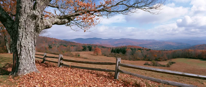 Autumn landscape with a weathered deciduous tree beside a wooden fence overlooking mountains and fields