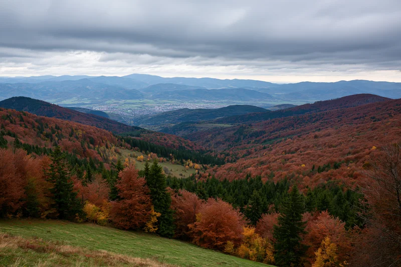 Autumn landscape with mixed forest covering rolling hills and valleys under overcast sky