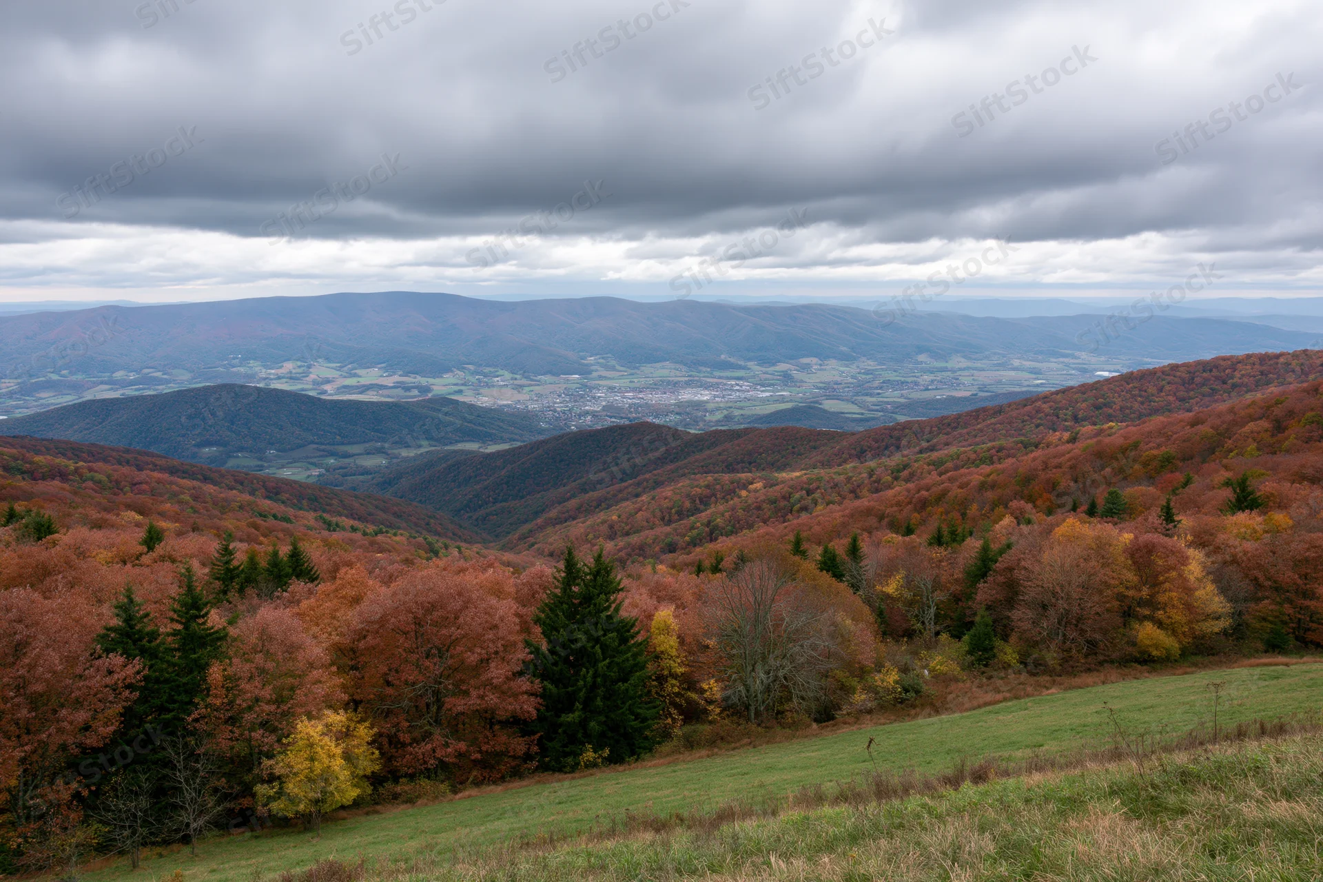 Autumn landscape with mixed forest covering rolling hills and valleys under cloudy sky