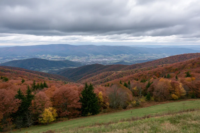 Autumn landscape with mixed forest covering rolling hills and valleys under cloudy sky