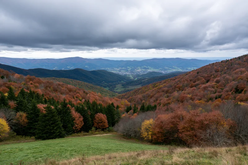 Autumn mountain landscape with mixed forest covering rolling hills and valleys under cloudy sky