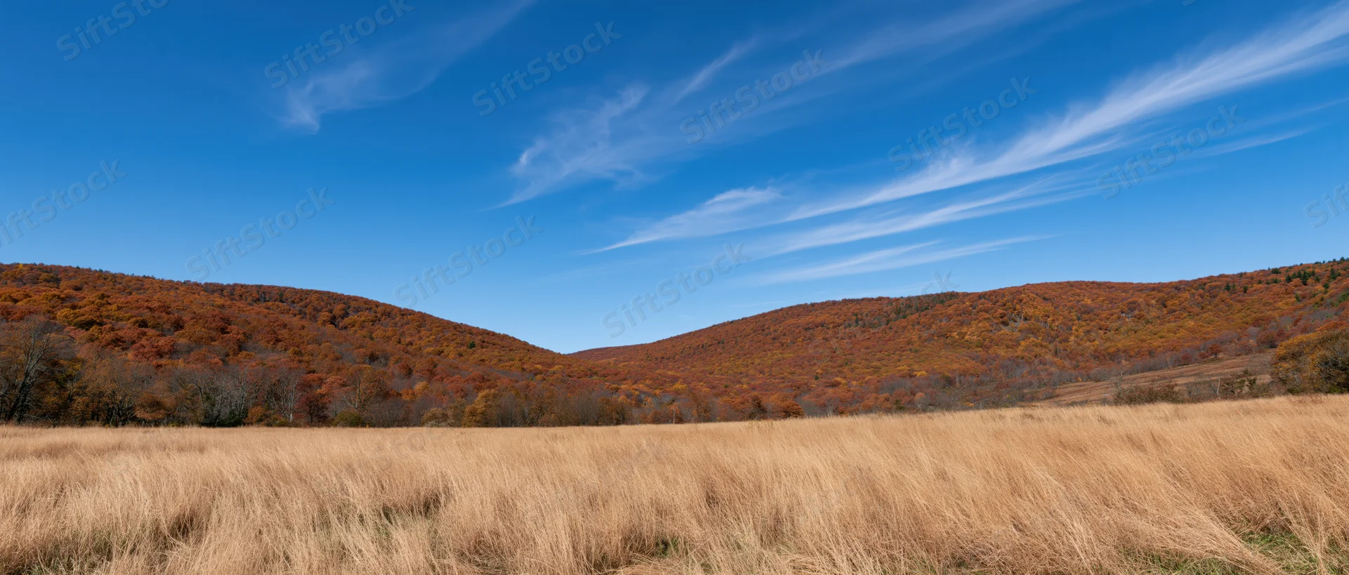 Autumn landscape with rolling hills covered in colorful foliage under a blue sky with wispy clouds, overlooking a golden grassy field