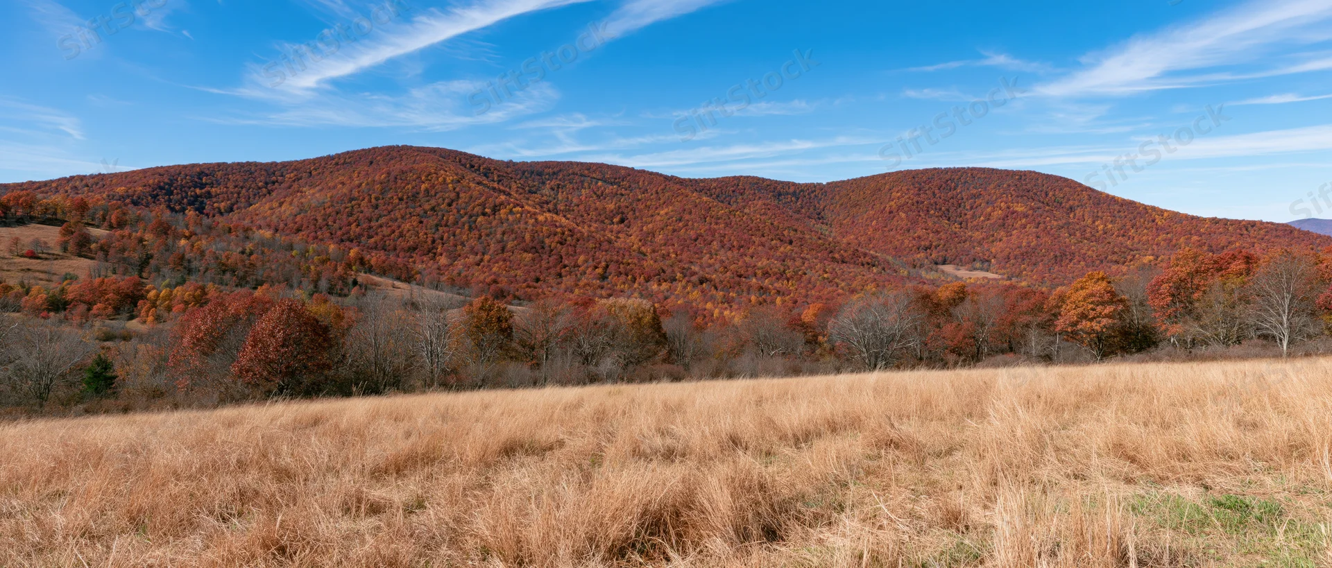 Rolling hills covered in autumn foliage under a blue sky with scattered clouds, viewed from a grassy meadow
