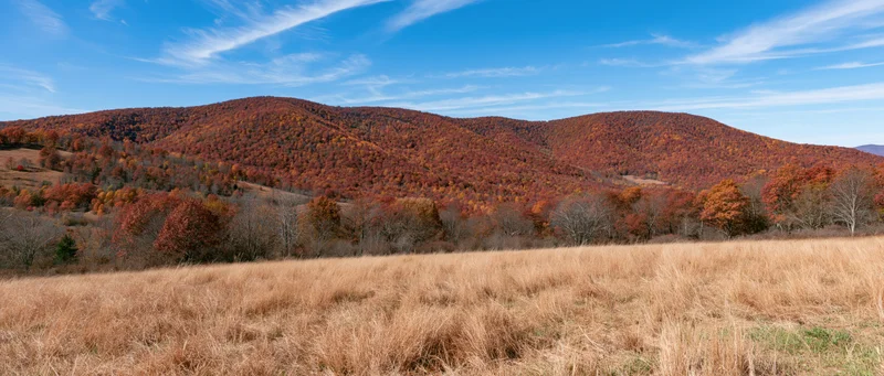 Rolling hills covered in autumn foliage under a blue sky with scattered clouds, viewed from a grassy meadow