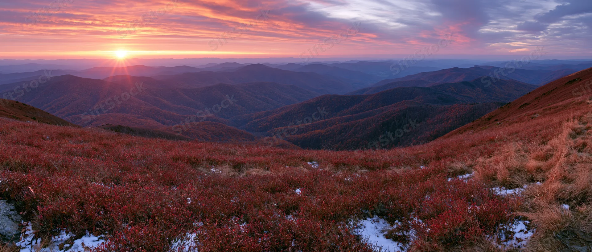 Panoramic view of autumn mountains at sunset with forested ridges and heather-covered slopes