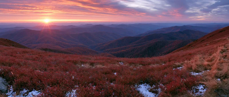 Panoramic view of autumn mountains at sunset with forested ridges and heather-covered slopes