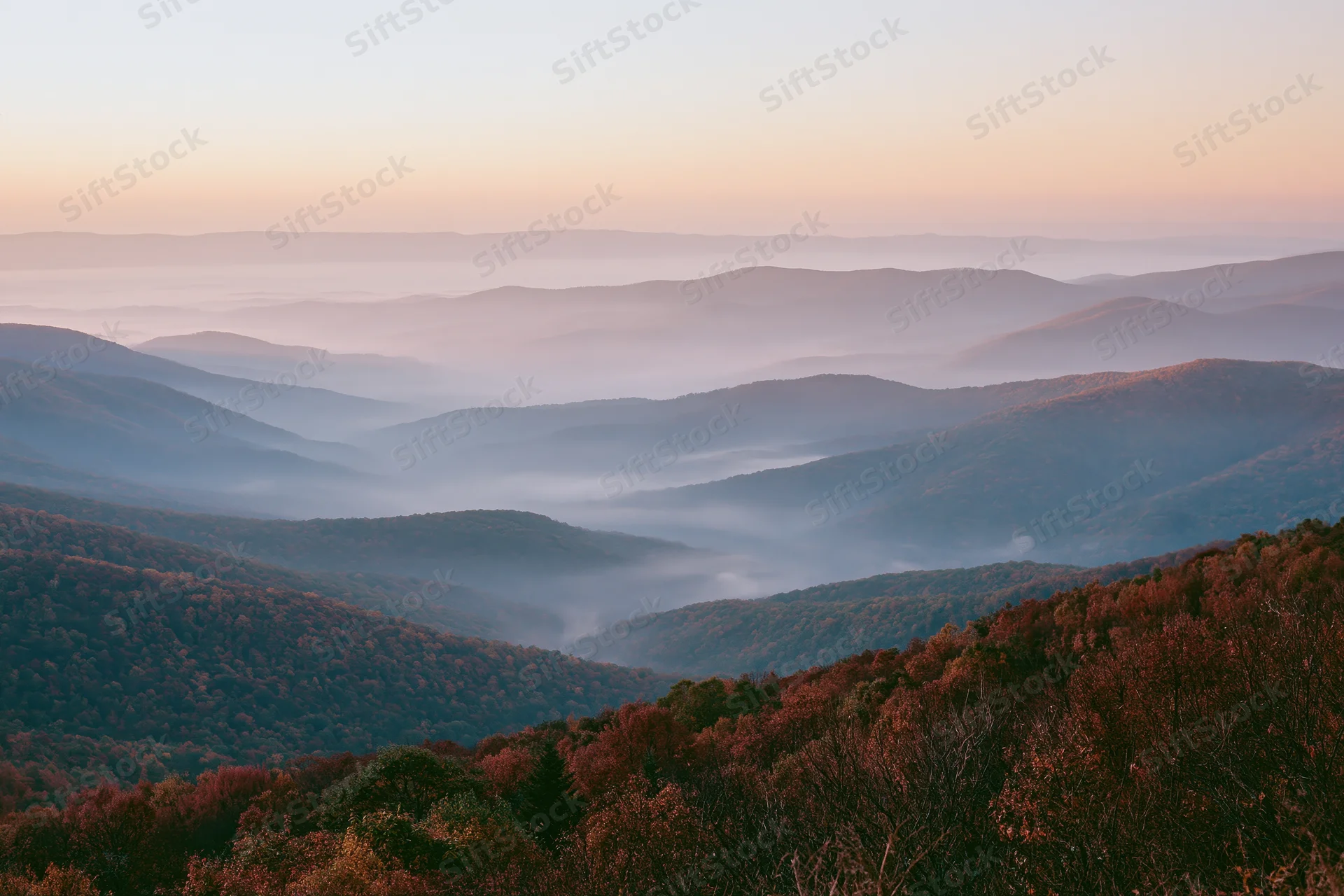 Layered mountain ridges covered in fog and autumn foliage at sunrise