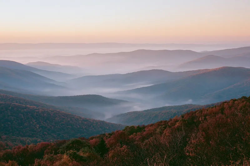 Layered mountain ridges covered in fog and autumn foliage at sunrise